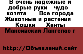 В очень надежные и добрые руки - чудо - котята!!! - Все города Животные и растения » Кошки   . Ханты-Мансийский,Лангепас г.